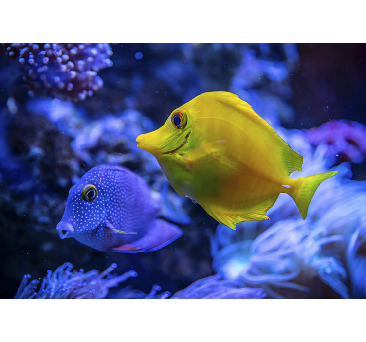 动物墙壁画 水生生物场景 - TenStickers