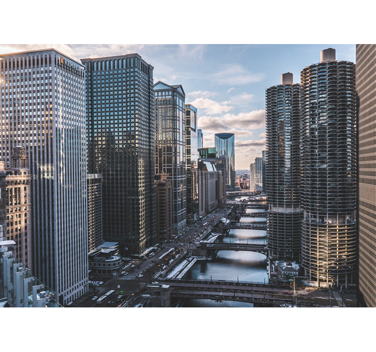 城市和乡村墙壁画，芝加哥天际线景观 - TenStickers