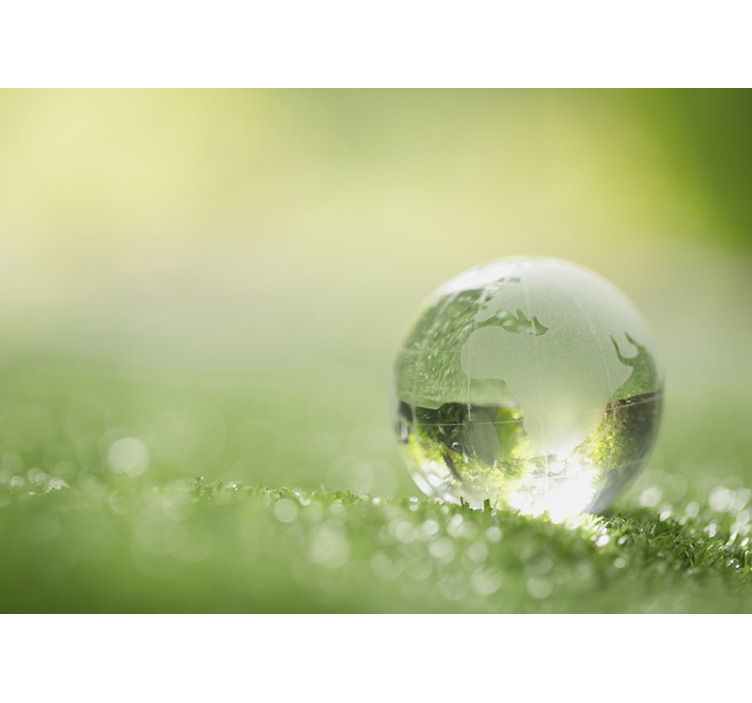 壁画质地全球草地 - TenStickers