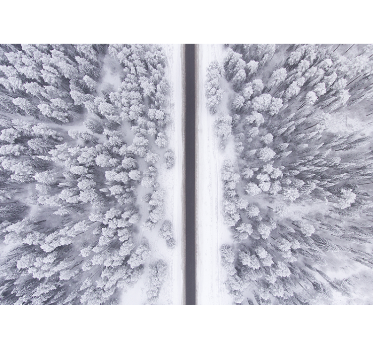 风景墙壁画冬季森林小径 - TenStickers