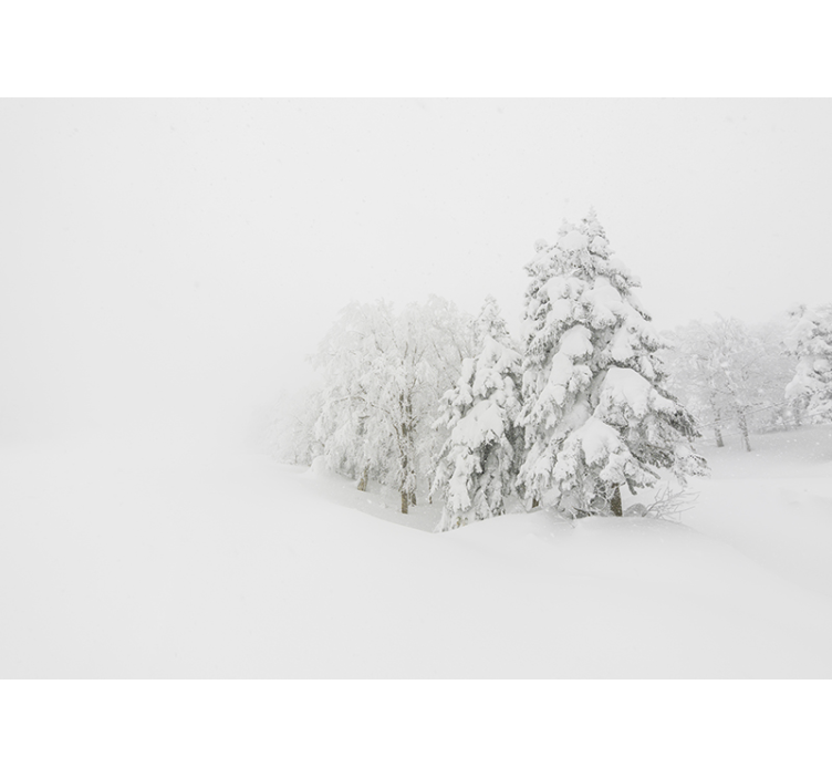 壁画质地呈现冬季森林场景 - TenStickers