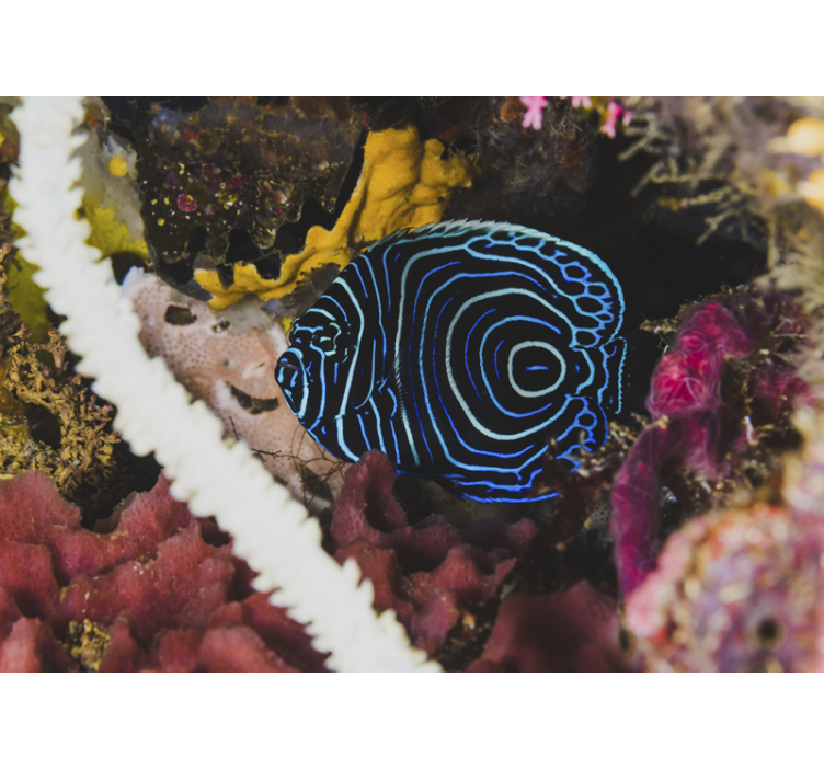 动物墙壁画蓝色鱼类图案 - TenStickers