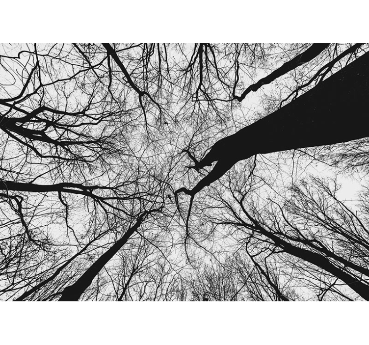 树木墙壁画交错树枝剪影 - TenStickers