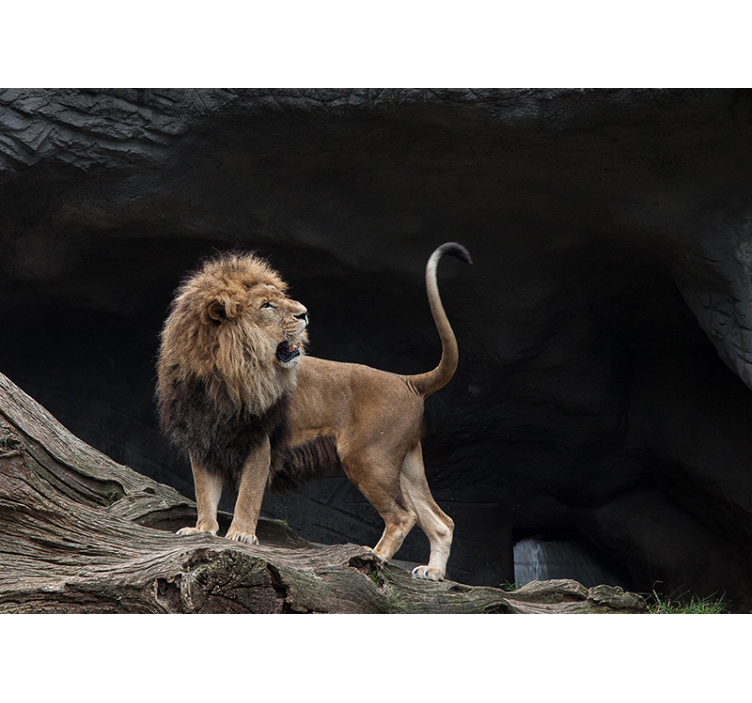 狮子壁画展现雄伟狮子肖像 - TenStickers