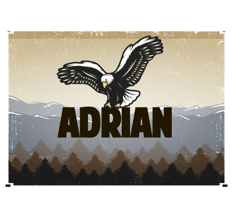 动物墙壁画 雄鹰翱翔 - TenStickers