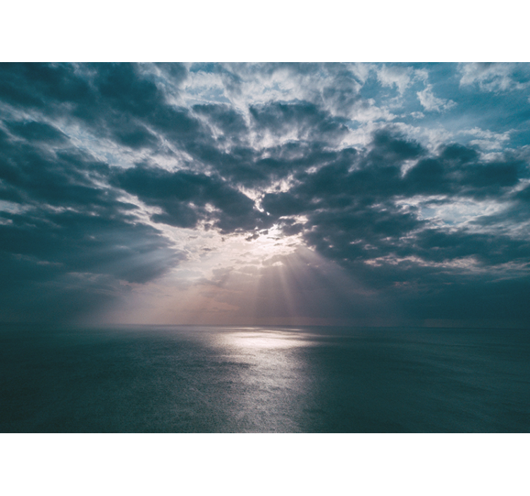 壁画质地 海洋射线 - TenStickers