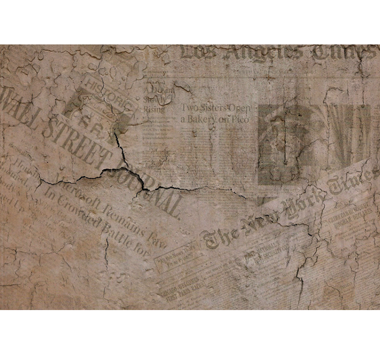 其他纹理和图案壁画展现风化旧纹理 - TenStickers