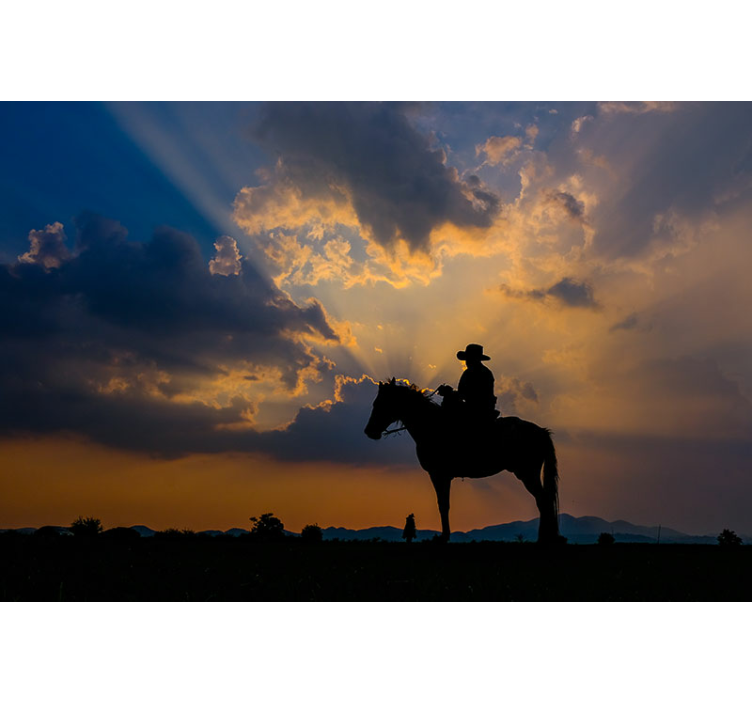 动物墙壁画骑士与坐骑 - TenStickers