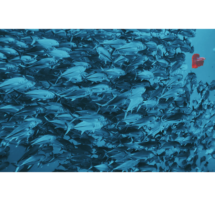 动物墙壁画水下鱼群 - TenStickers