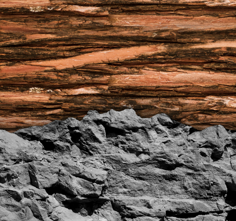 客厅的其他墙面壁画 木头和石头 - TenStickers