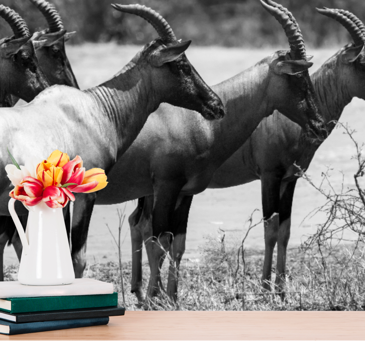 动物墙壁画：非洲羚羊群 - TenStickers
