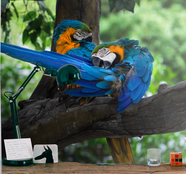 动物墙壁画色彩斑斓的金刚鹦鹉成对 - TenStickers