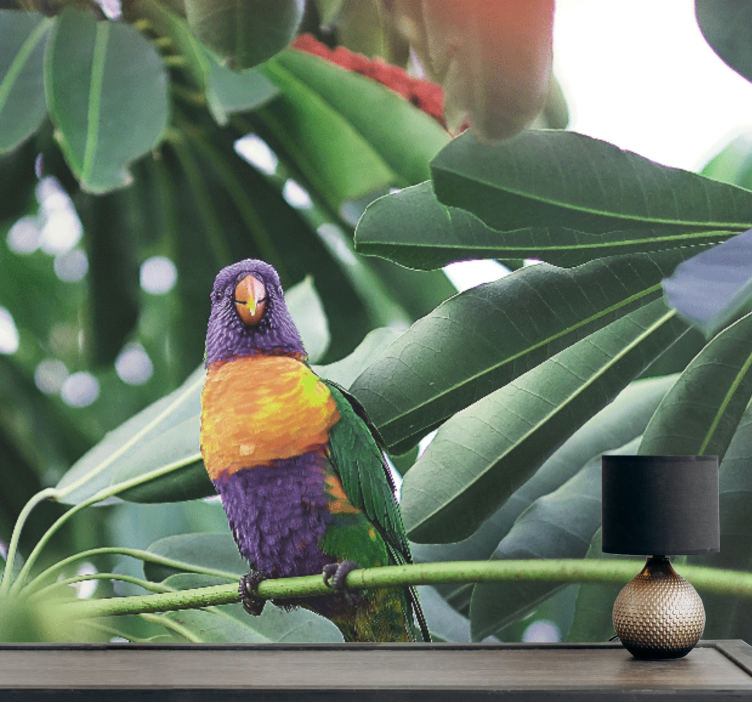 动物墙壁画 色彩斑斓的鹦鹉栖息 - TenStickers