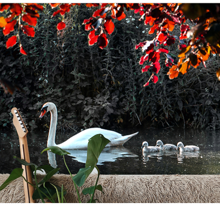 动物墙壁画优雅天鹅家庭 - TenStickers