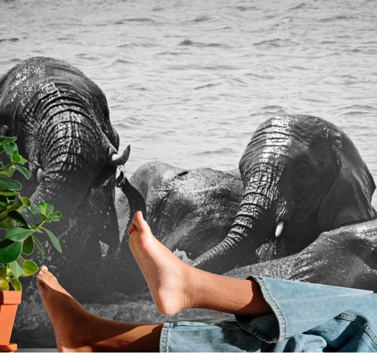 动物墙壁画液态中的大象 - TenStickers