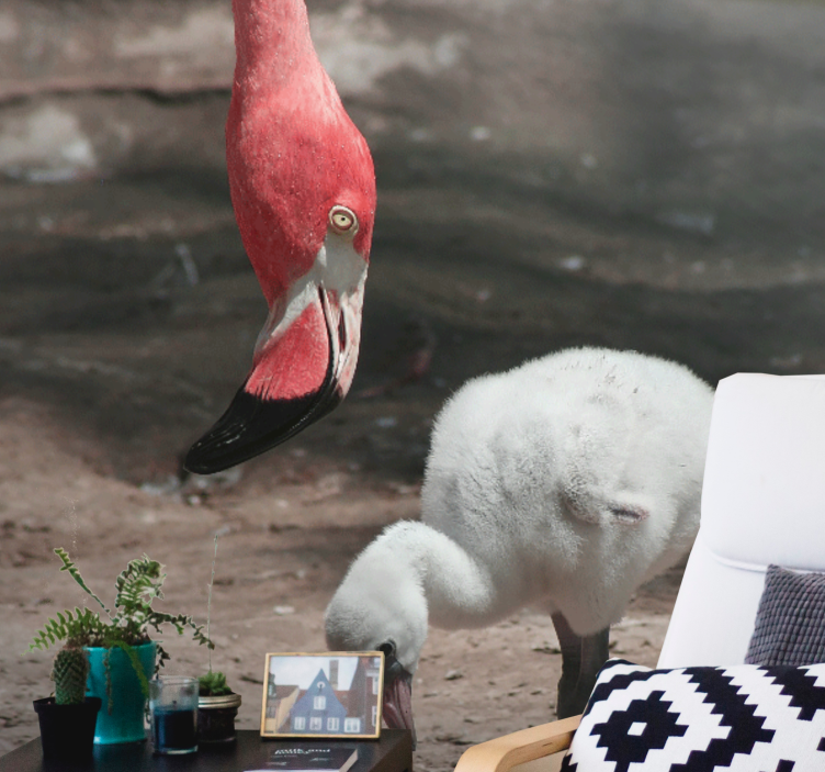 动物墙壁画小火烈鸟幼鸟 - TenStickers