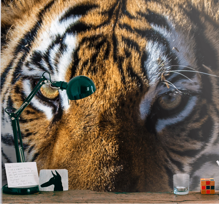 动物墙壁画壮丽老虎特写 - TenStickers