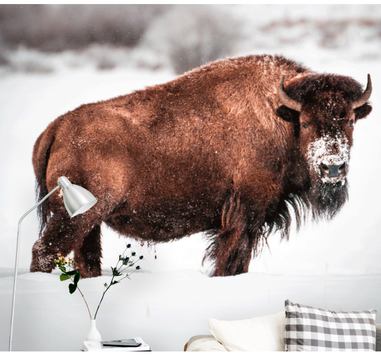 动物墙壁画雄伟的野牛姿态 - TenStickers