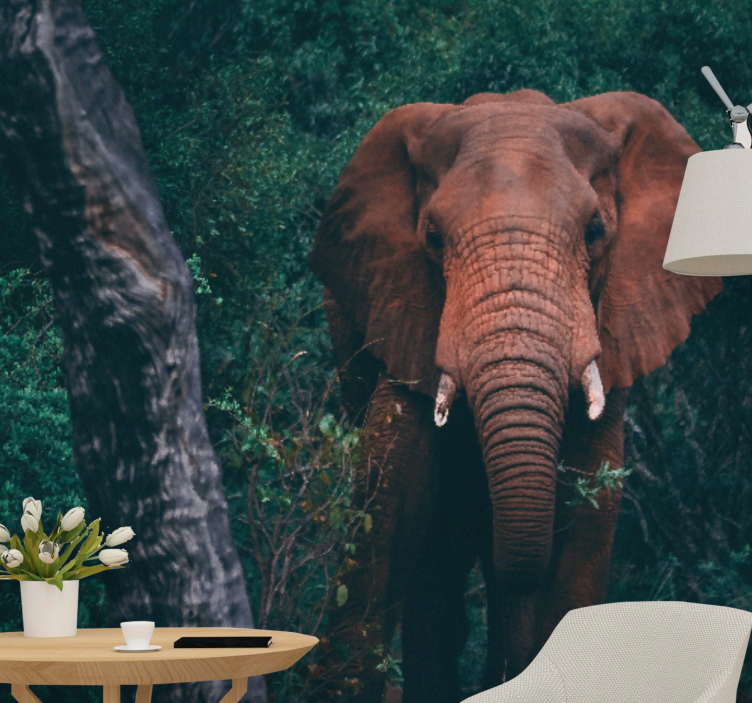 动物墙壁画展现雄伟大象的气息 - TenStickers