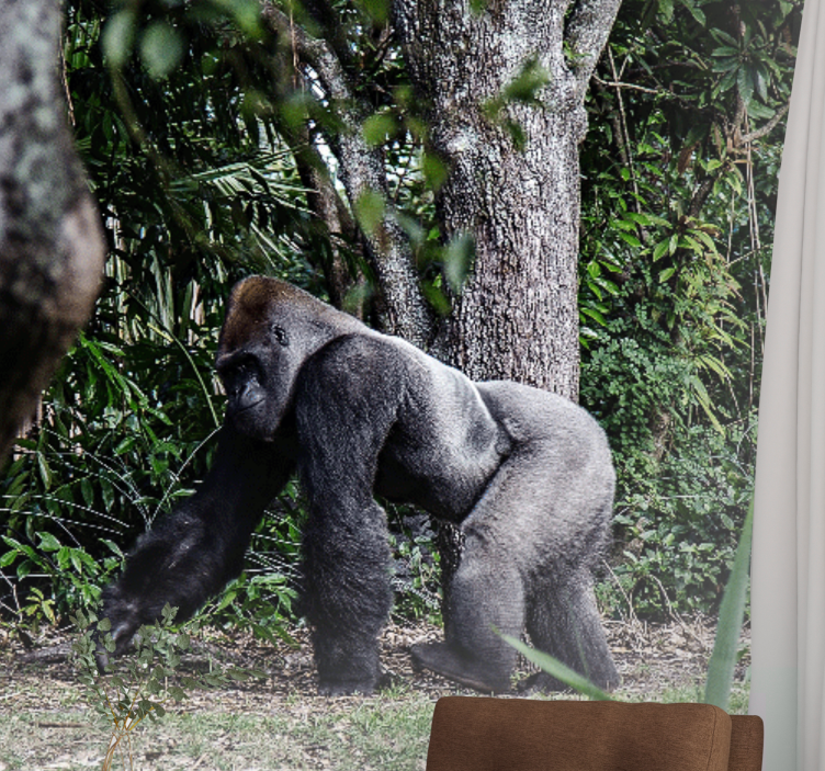 动物墙壁画雄伟大猩猩漫步 - TenStickers