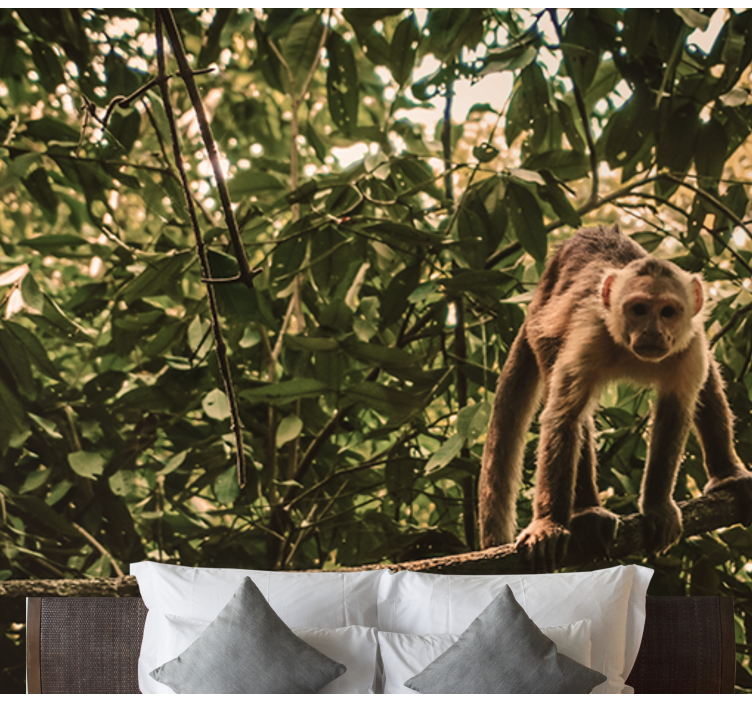 动物墙壁画 树枝上的猴子 - TenStickers