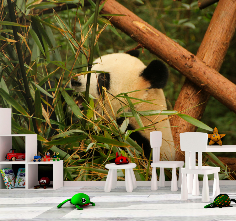 动物墙壁画 竹林中的熊猫 - TenStickers