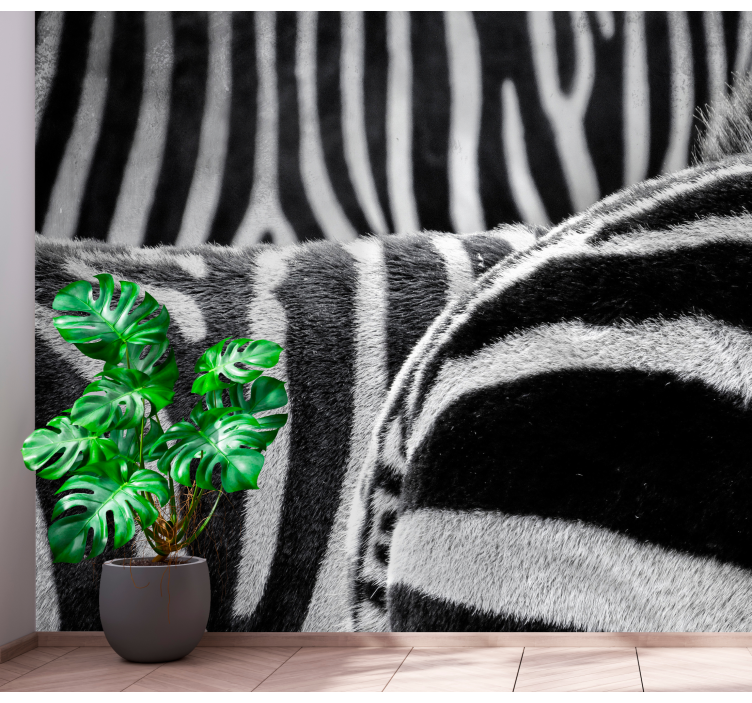 动物墙壁画展现真实斑马纹理 - TenStickers
