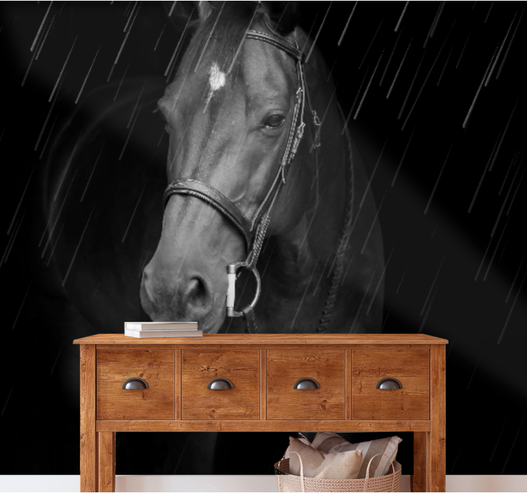 动物墙壁画尊贵马匹肖像 - TenStickers