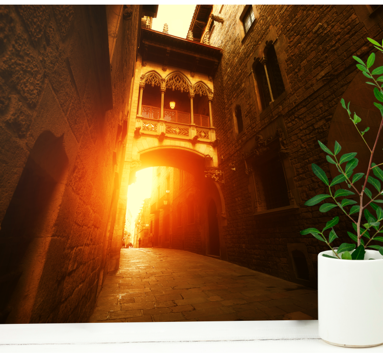 壁画巴塞罗那历史哥特拱门 - TenStickers