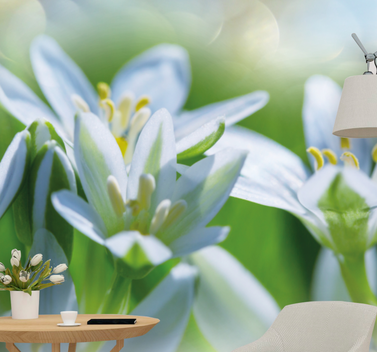 花墙壁画温柔的白色花朵 - TenStickers