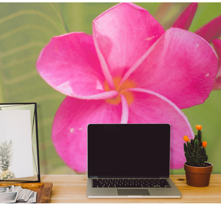 花墙壁画粉色花卉装饰 - TenStickers