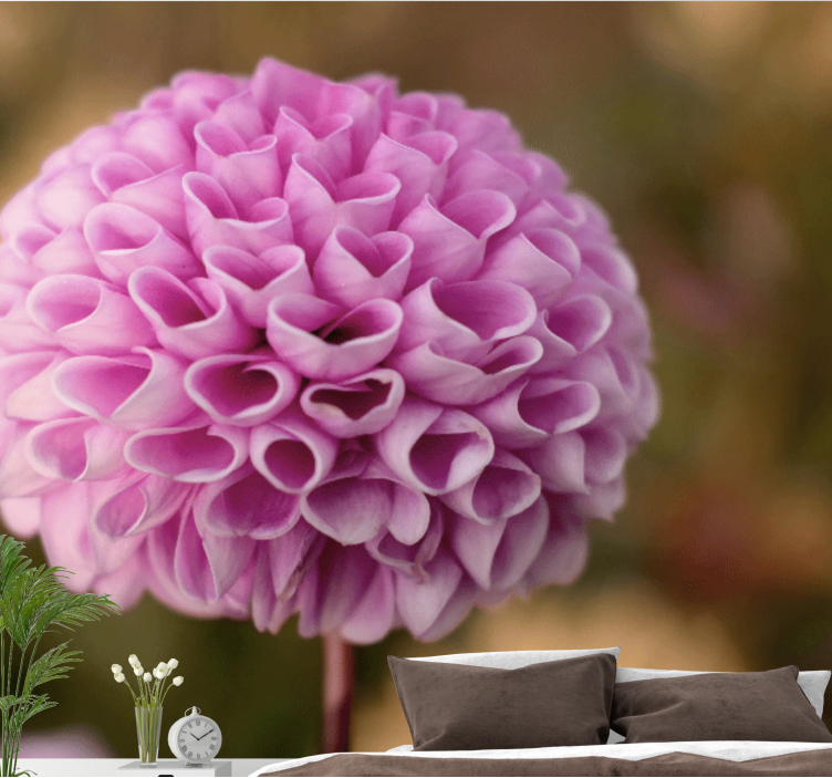 花墙壁画粉色花卉球体 - TenStickers