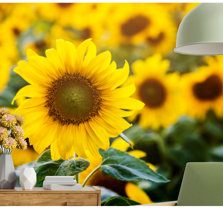 花墙壁画向日葵田绽放 - TenStickers