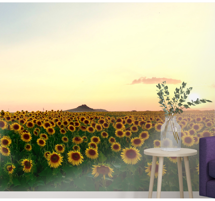 花墙壁画向日葵田黄昏 - TenStickers