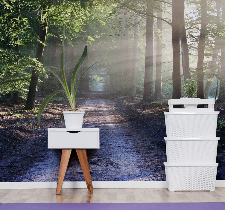 森林墙壁画 灯光照耀下的林间小径 - TenStickers