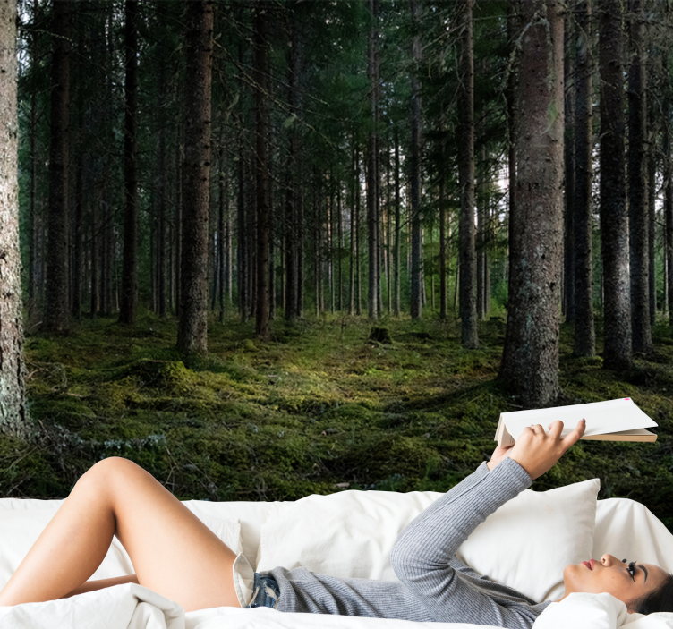 森林墙壁画宁静风景 - TenStickers