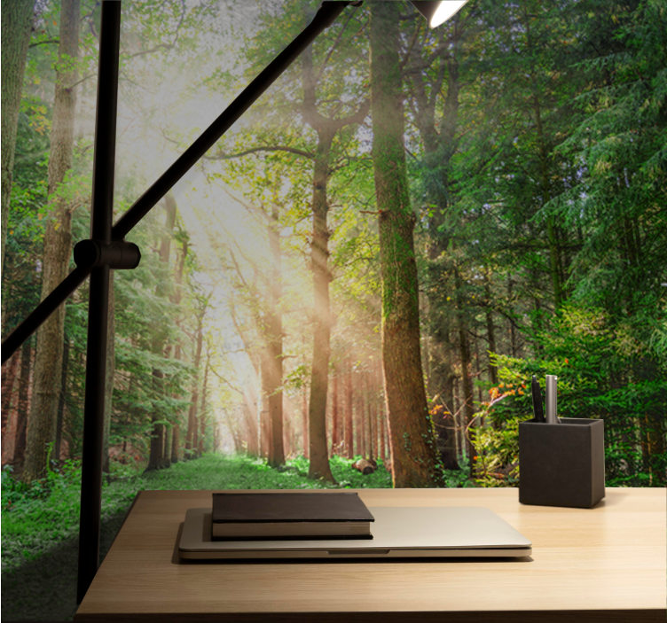 森林墙壁画宁静林间小径 - TenStickers