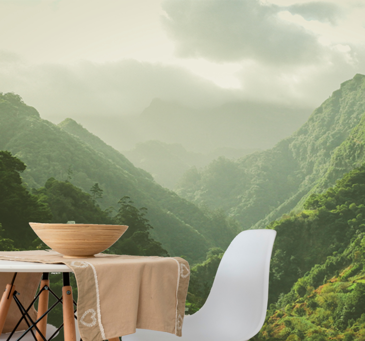 风景墙壁画山谷风光 - TenStickers