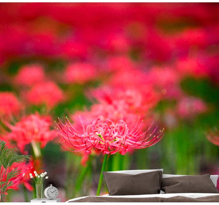 罂粟墙壁画生动的深红色花朵 - TenStickers