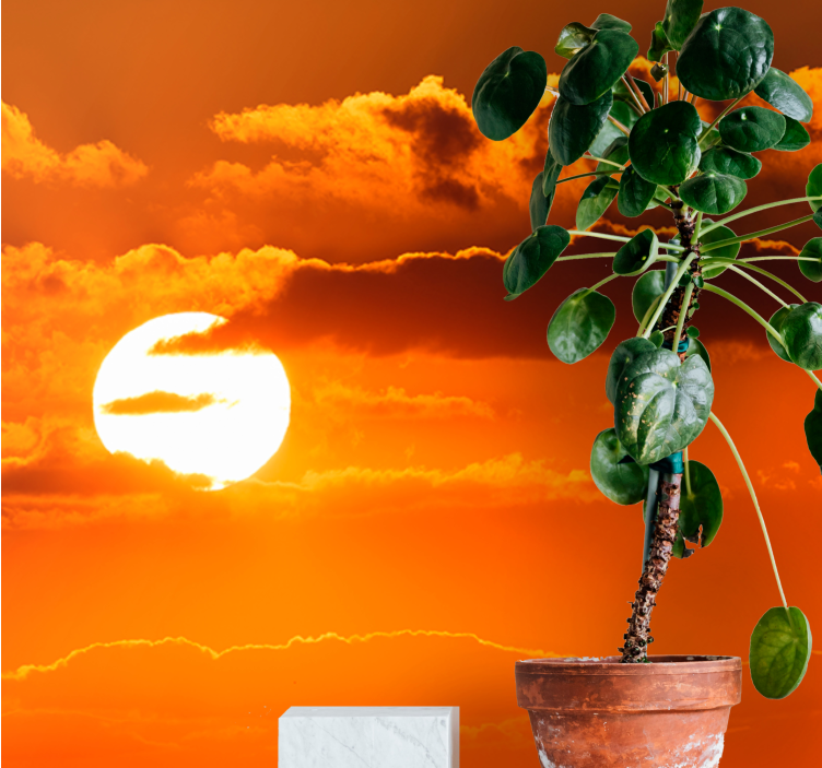 天空墙壁画在云层上的日落 - TenStickers