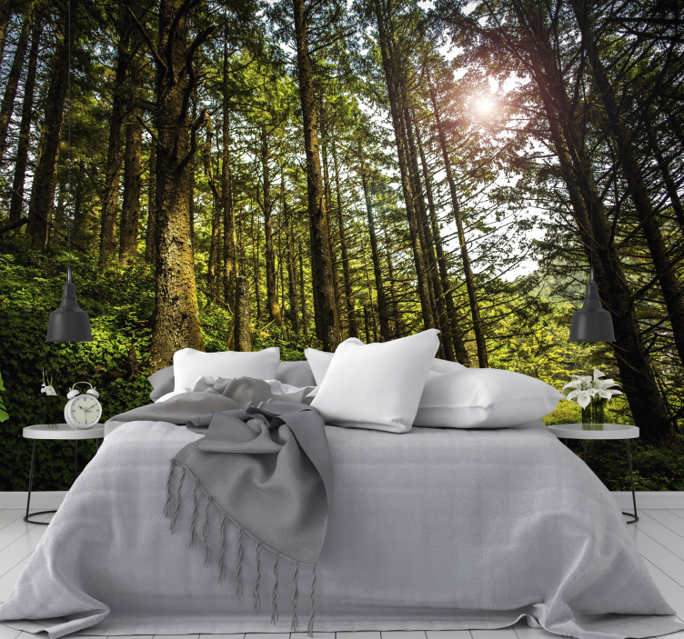 阳光明媚的森林墙壁画！ - TenStickers