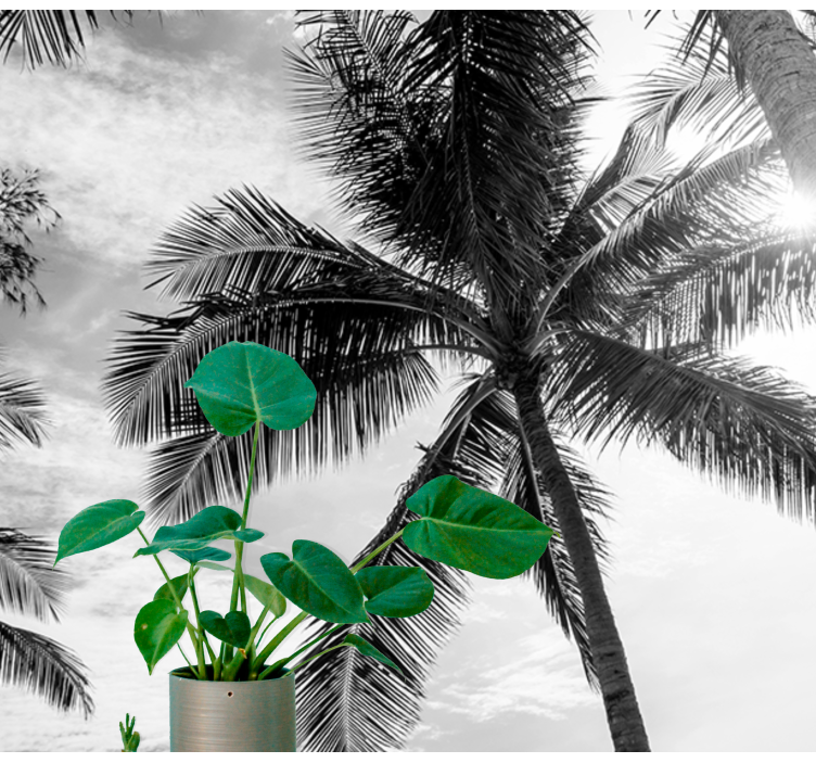 壁画海景热带棕榈风景 - TenStickers