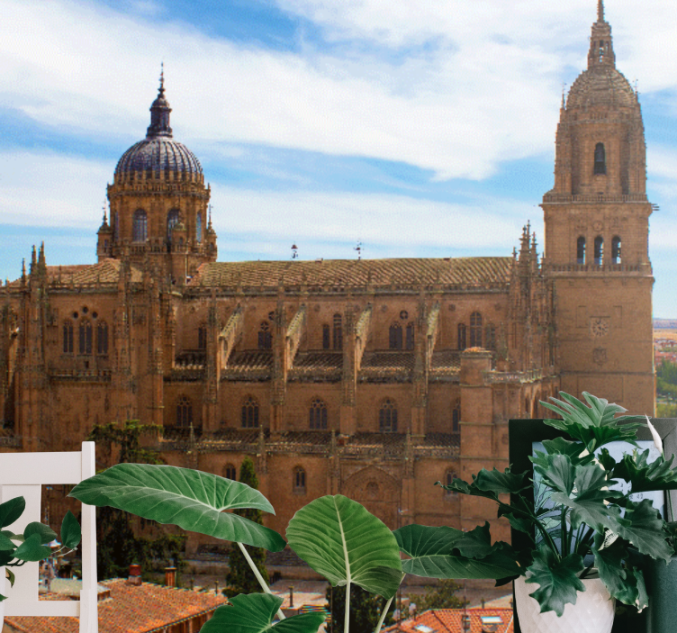 壁画 马德里 历史大教堂景观 - TenStickers