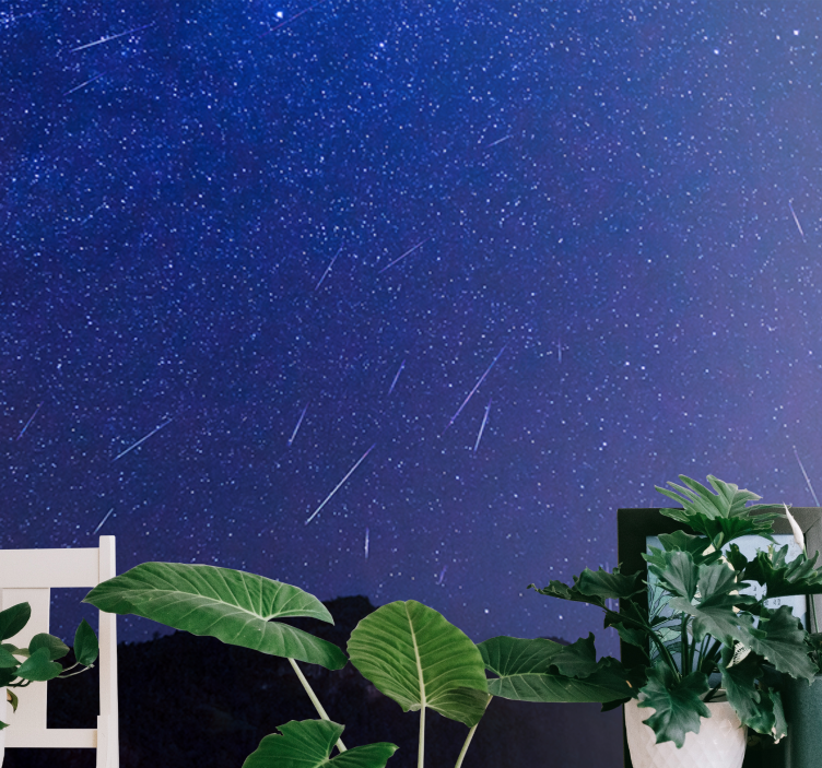 山墙壁画星空彗星之夜 - TenStickers