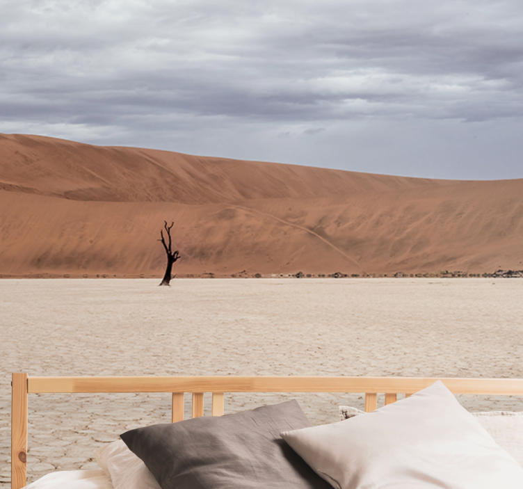 山墙壁画沙漠风景展望 - TenStickers