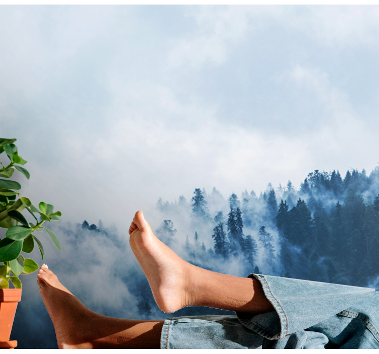 壁画质地呈现森林雾气景观 - TenStickers