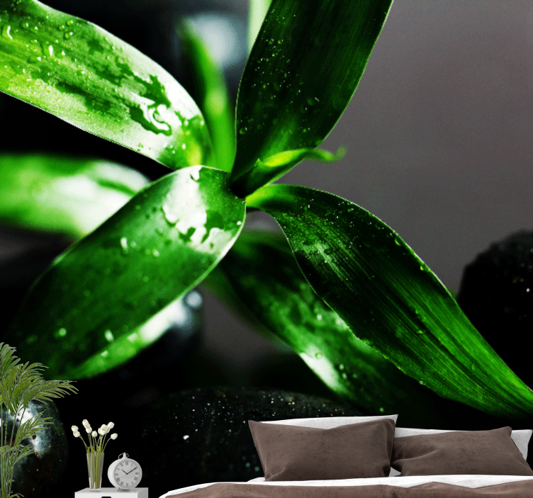 壁画质地新鲜叶子质感 - TenStickers