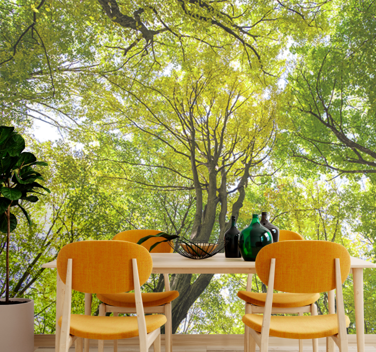 壁画质地展现郁郁葱葱的森林树冠 - TenStickers