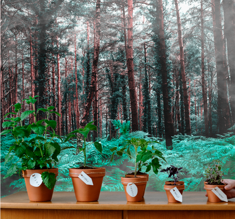 壁画质地展现郁郁葱葱的野外风光 - TenStickers