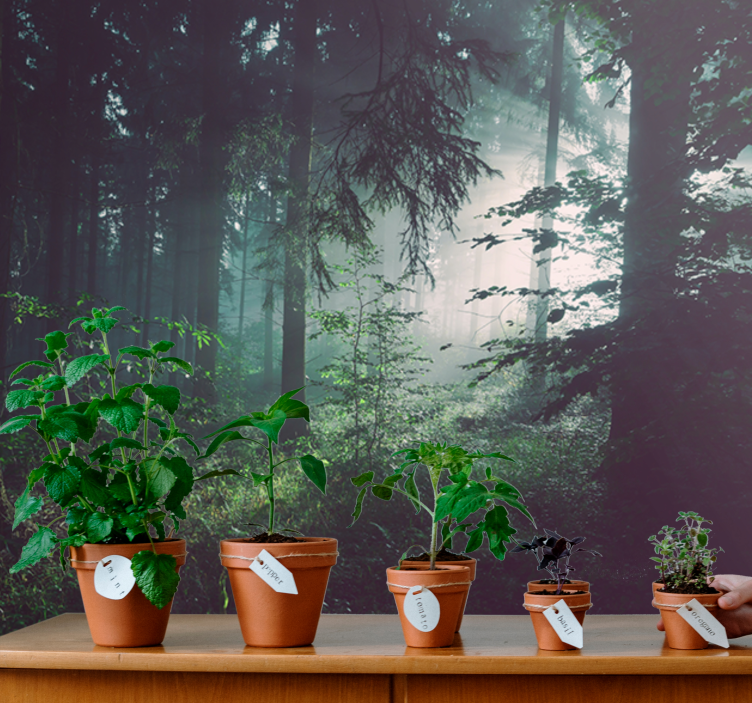 壁画质地展现郁郁葱葱的森林风景 - TenStickers